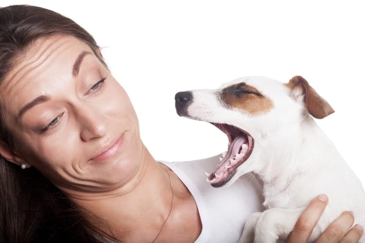 Pet owner looking not good with the smell of her dog's mouth