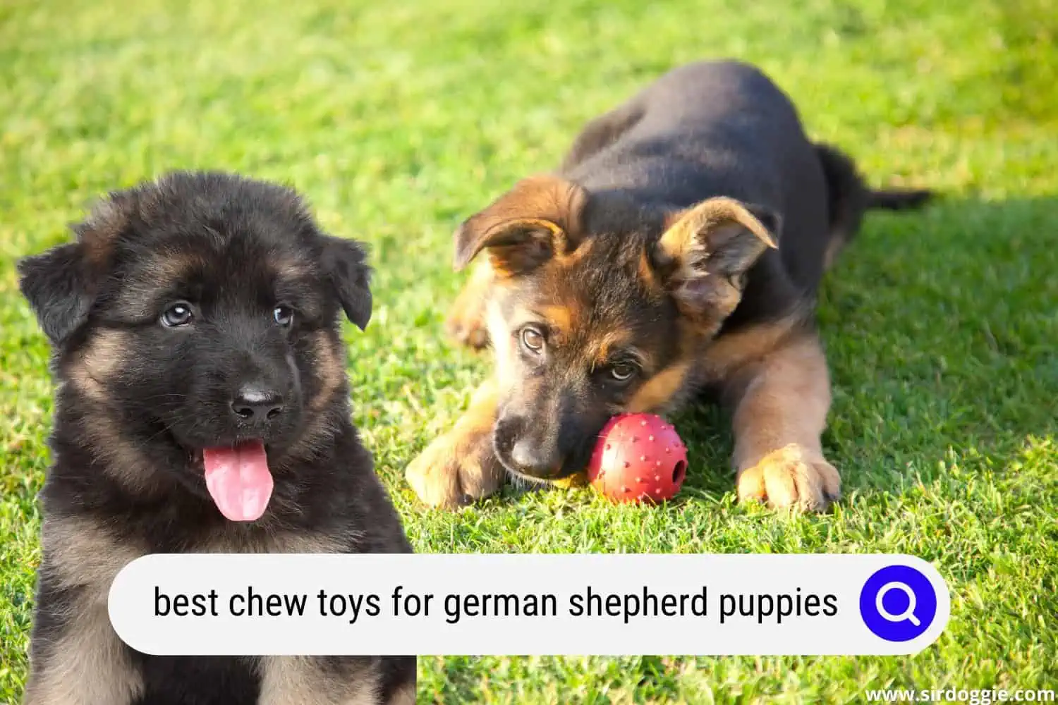best chew toys for german shepherd puppies