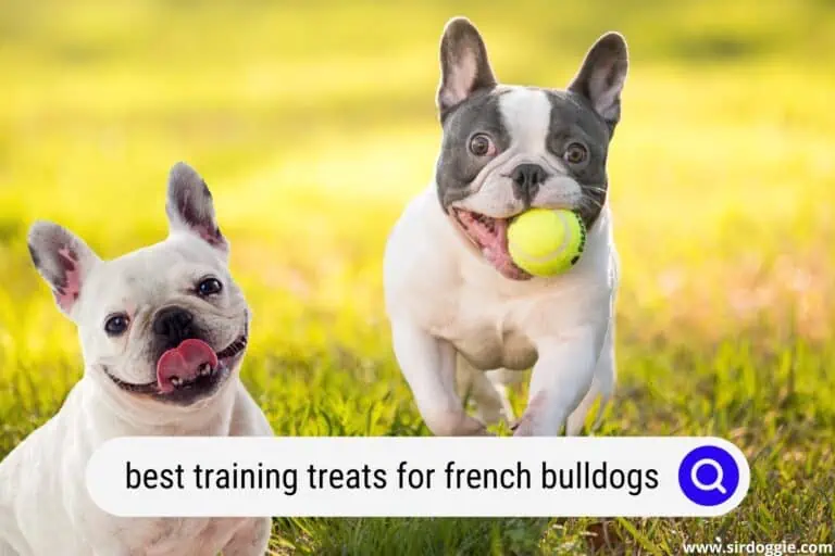 The 5 Best Training Treats for French Bulldogs
