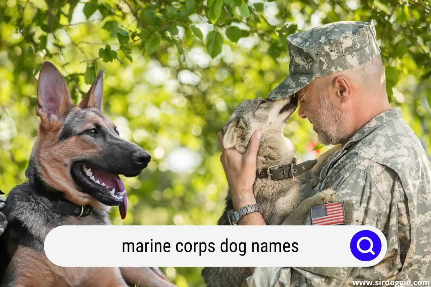 marine corps dog names