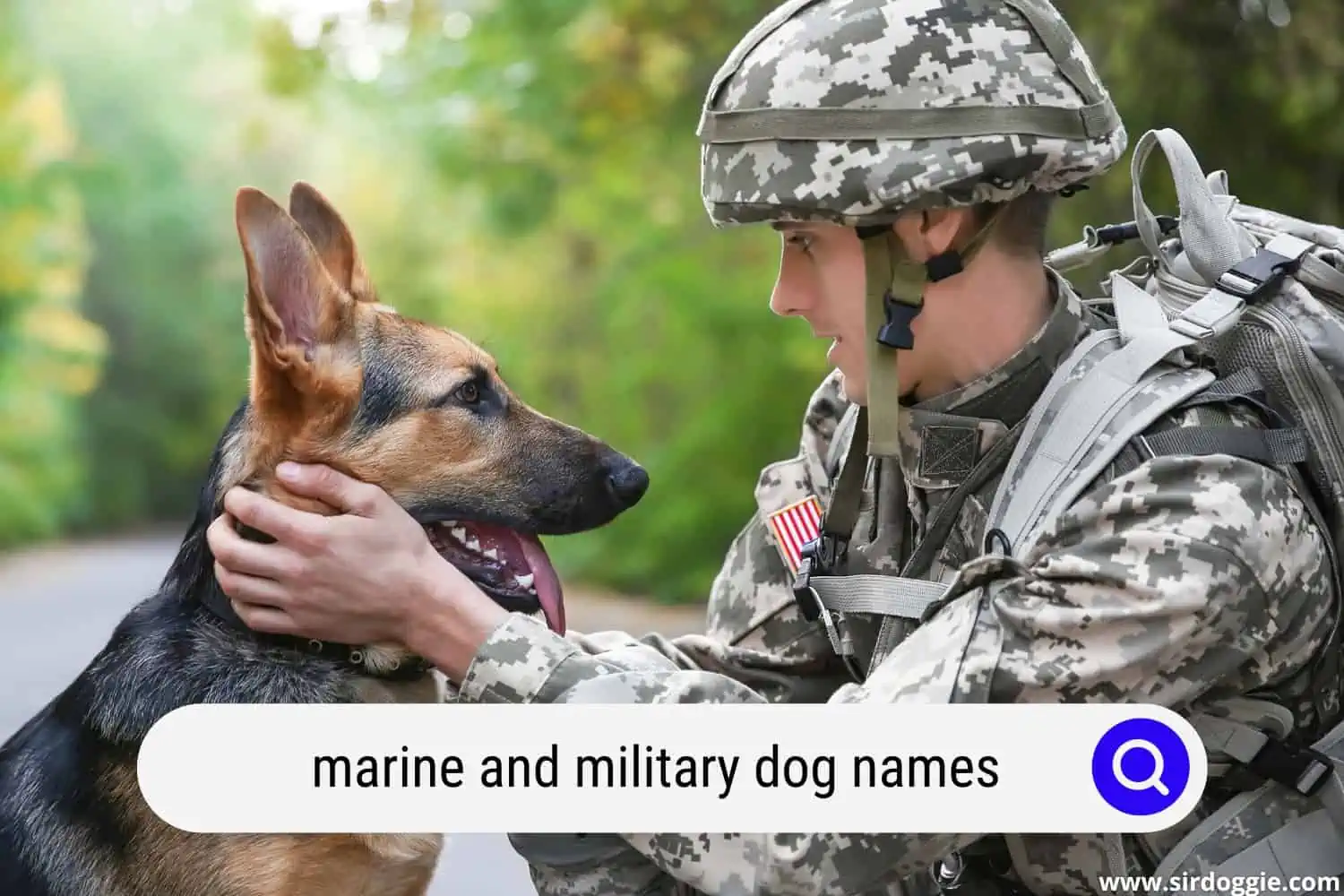US Military talking to his German Shepherd military dog 