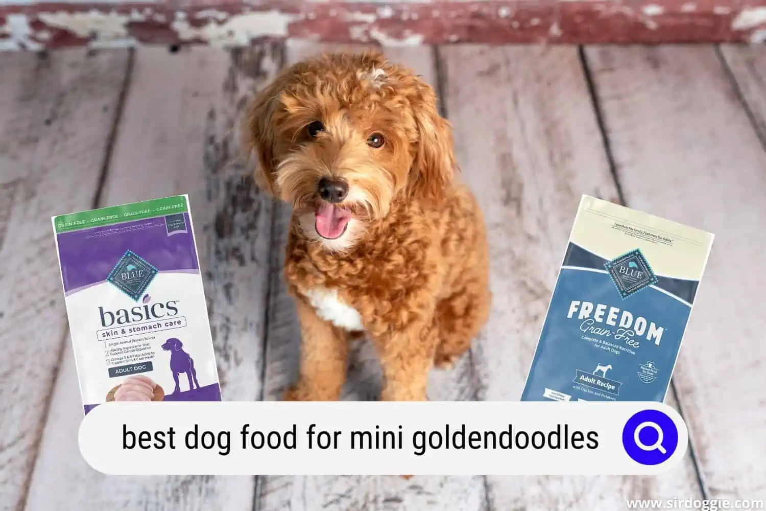 best dog food for mini goldendoodles