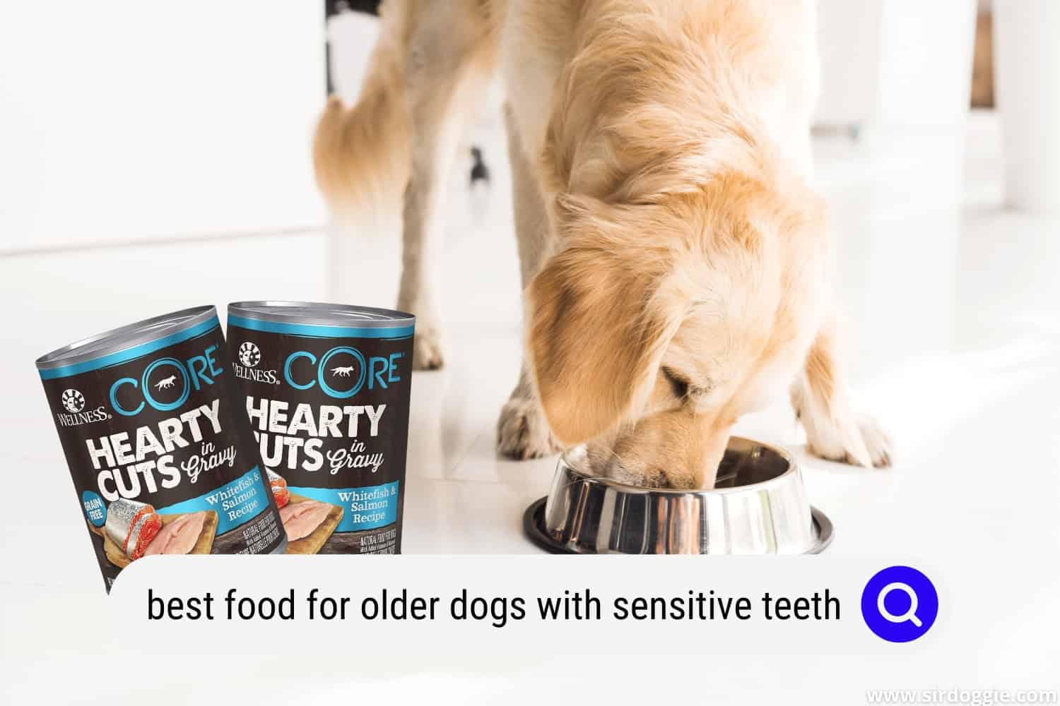 Best Dog Food for Older Dogs With Sensitive Teeth