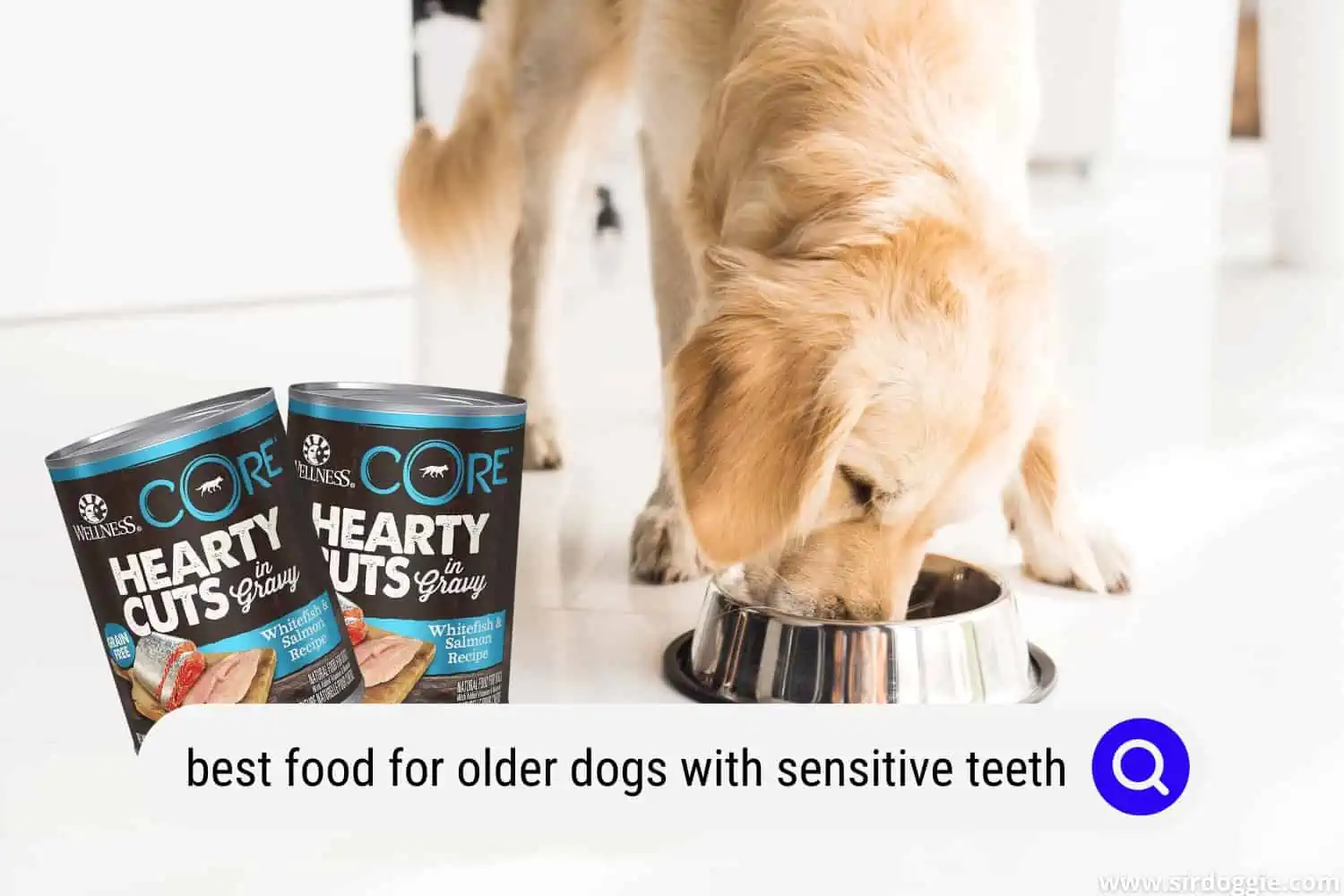 best dog food for older dogs with sensitive teeth