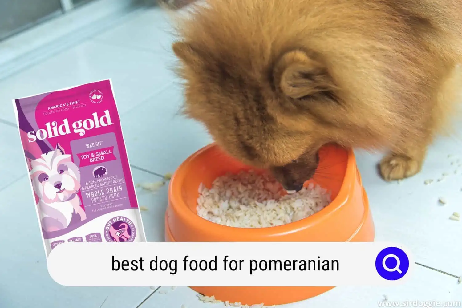 best dog food for pomeranian