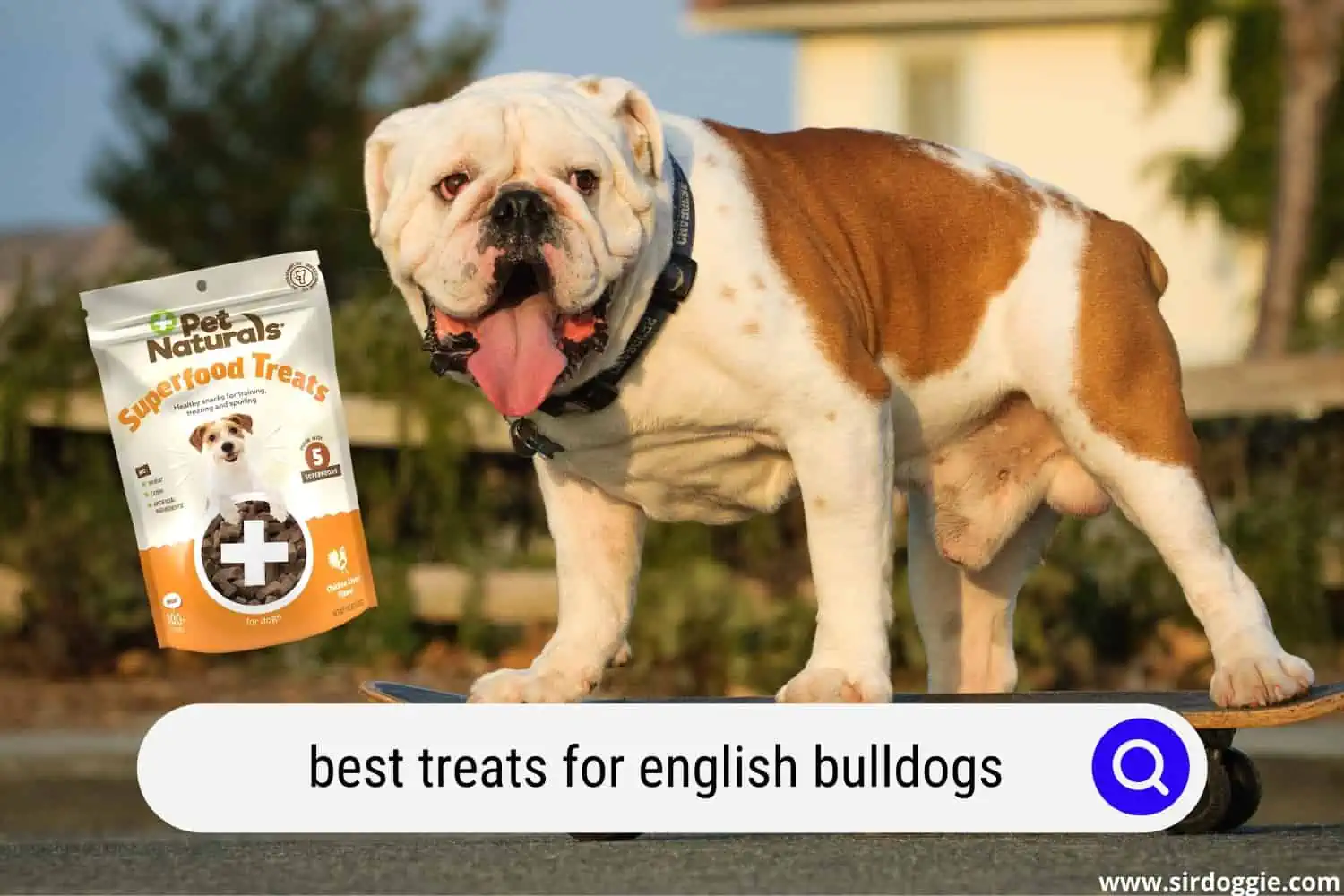 best treats for english bulldogs