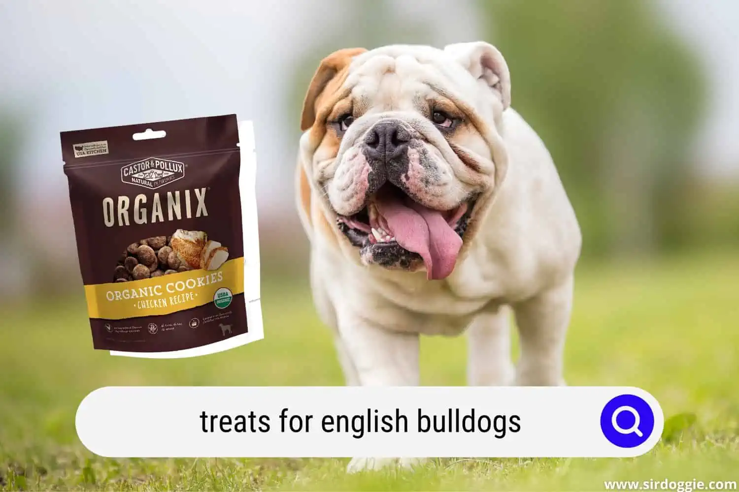 food treats for English Bulldog