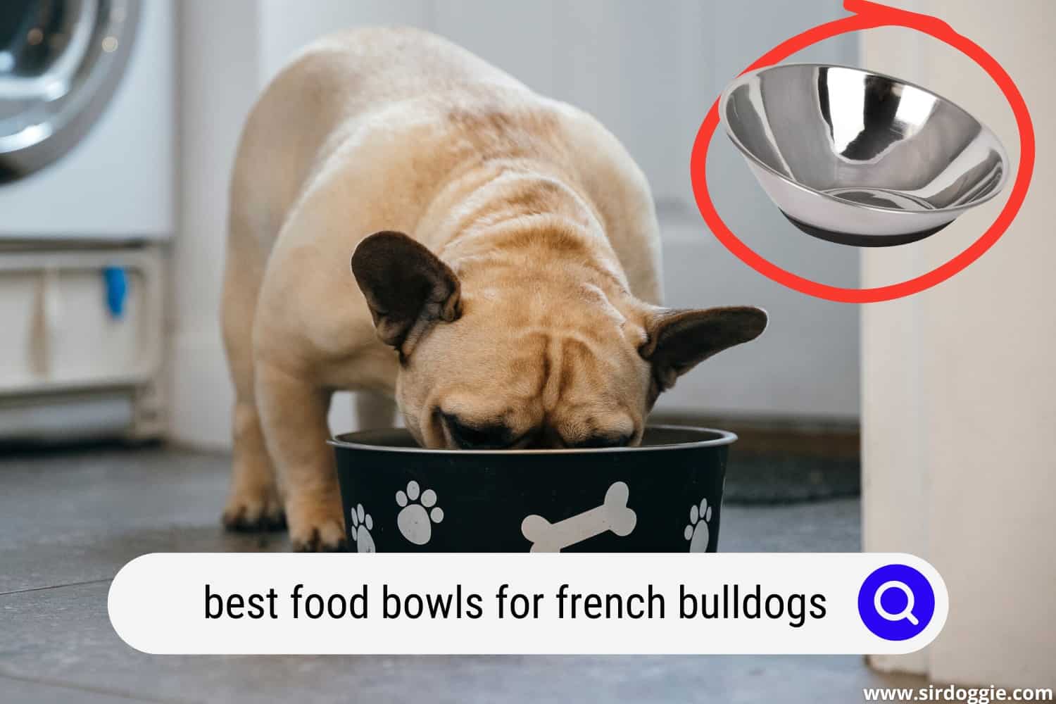 Best Food Bowls for Bulldogs: Choosing the Right Dish for Your Bulldog’s Unique Needs