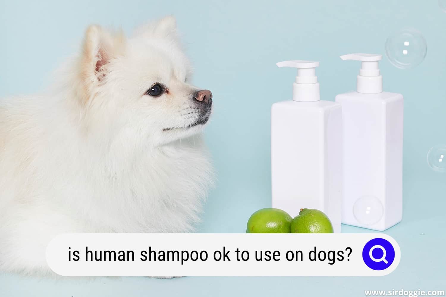 Is Human Shampoo Ok To Use On Dogs? - SirDoggie.com