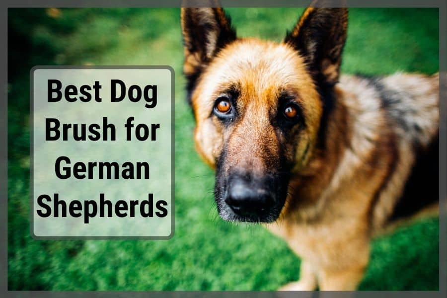 undercoat brush for german shepherd