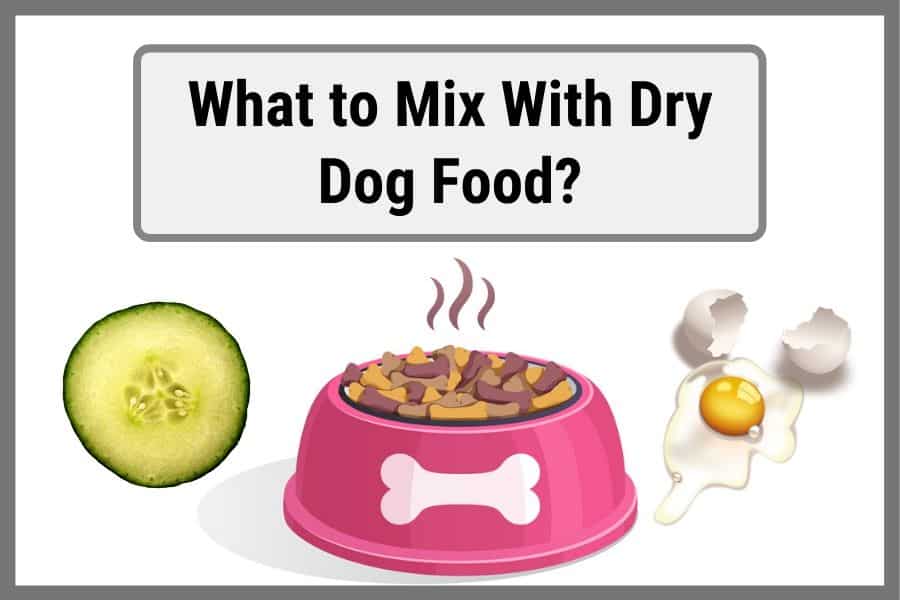 what to mix with dry dog food thumbnail