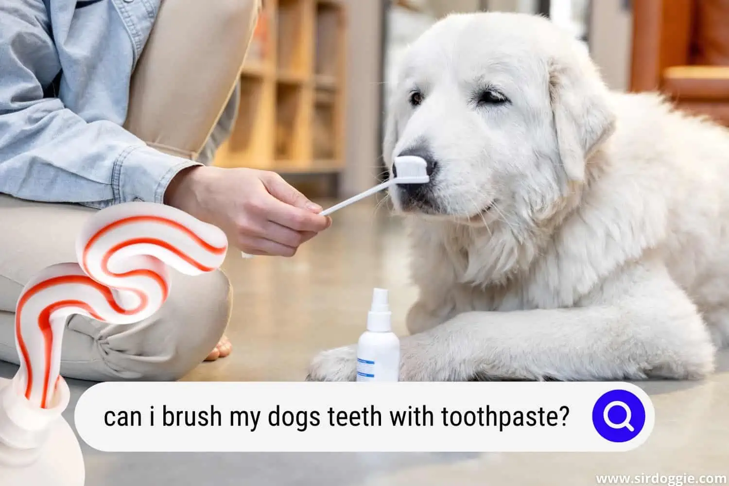 can i brush my dogs teeth with toothpaste