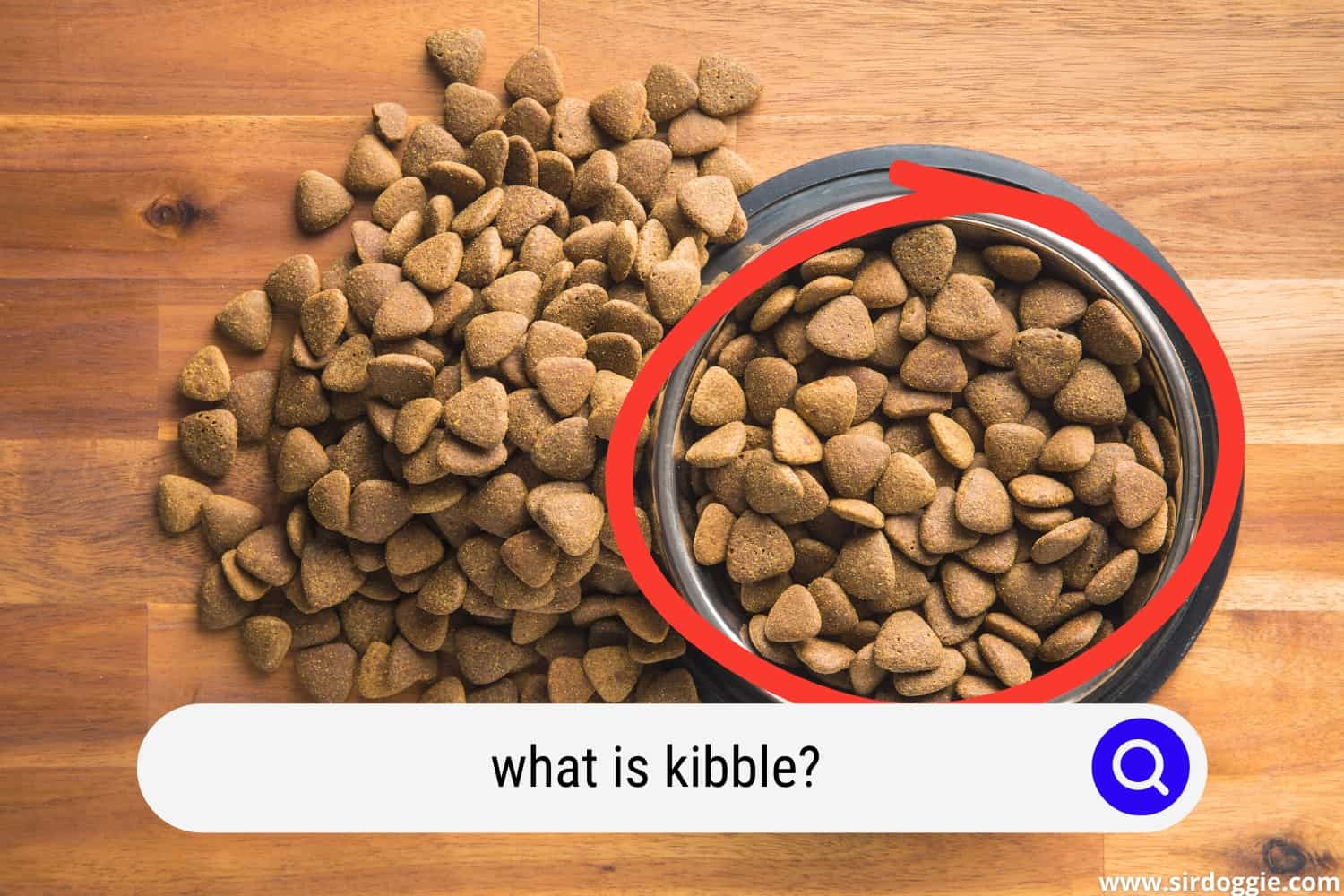 What Is Kibble? Evaluating Dry Dog Food