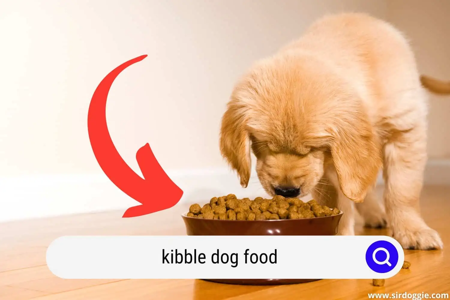 puppy eating kibble