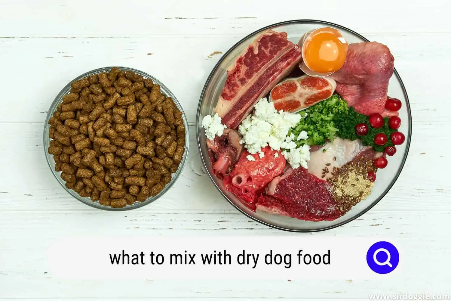 what to mix with dry dog food
