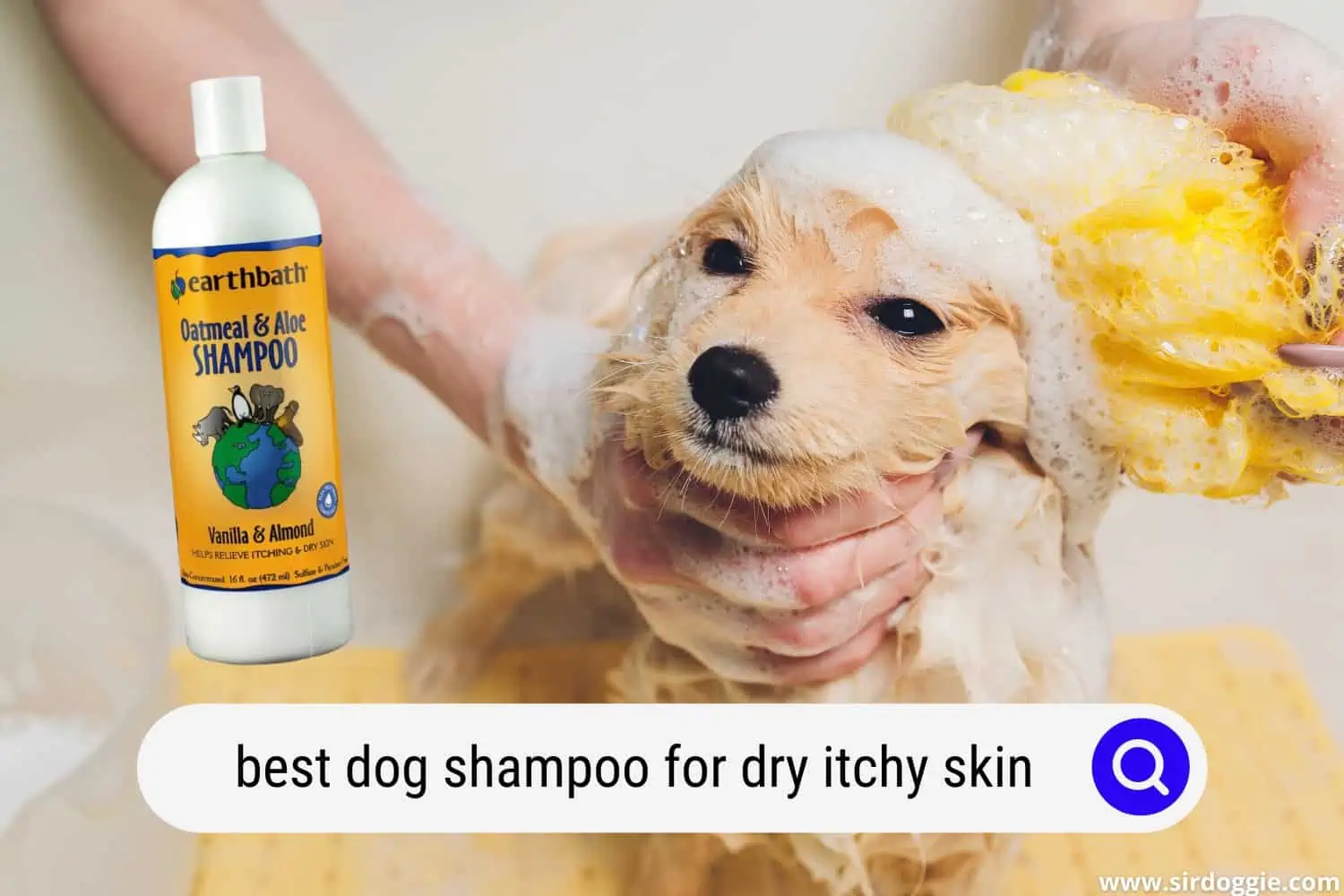 best dog shampoo for dry itchy skin