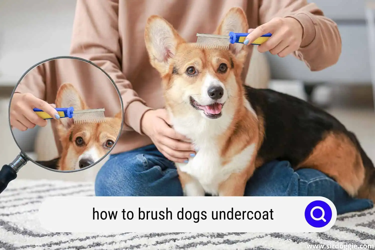 how to brush dogs undercoat
