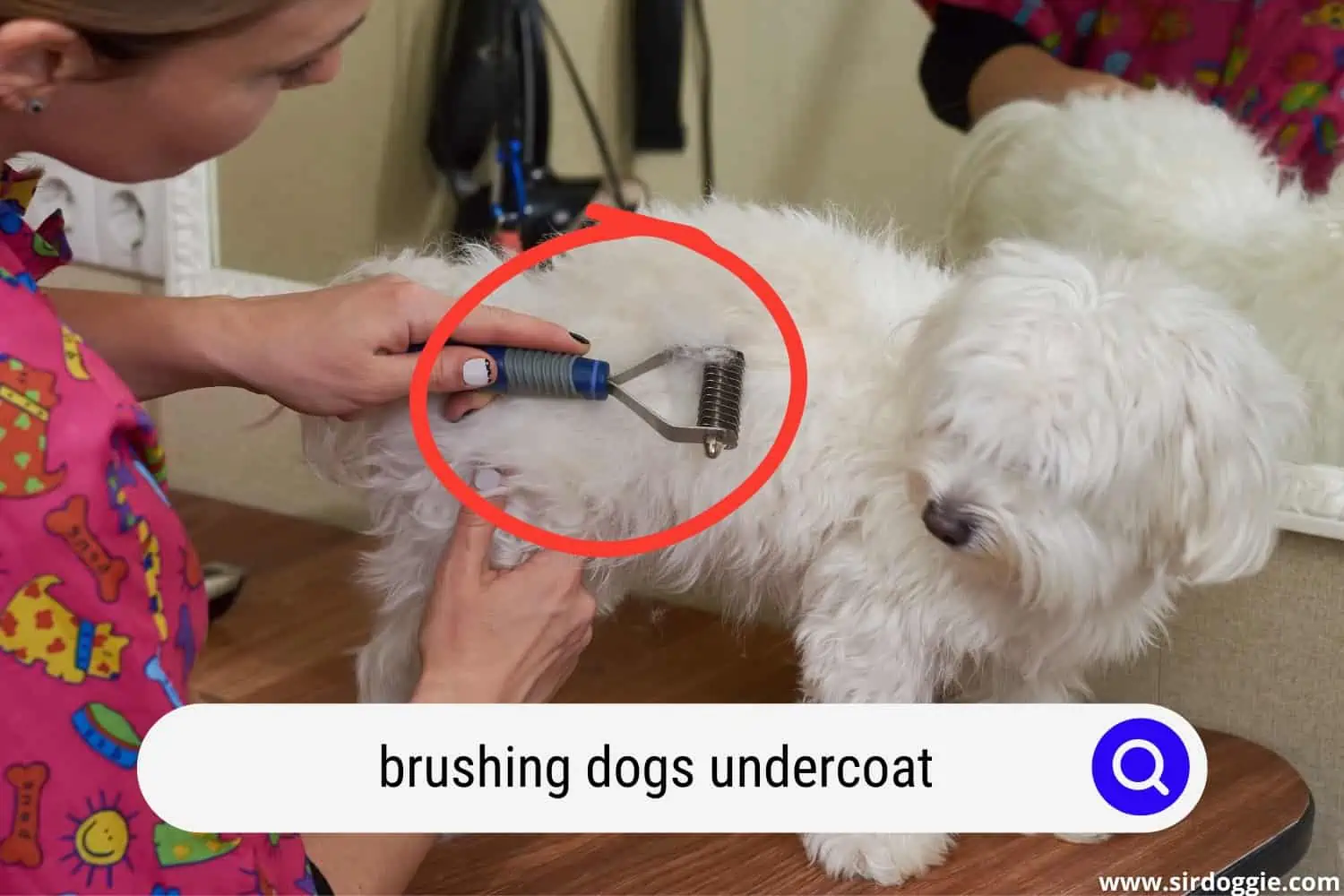 Pet owner brushing her dogs undercoat