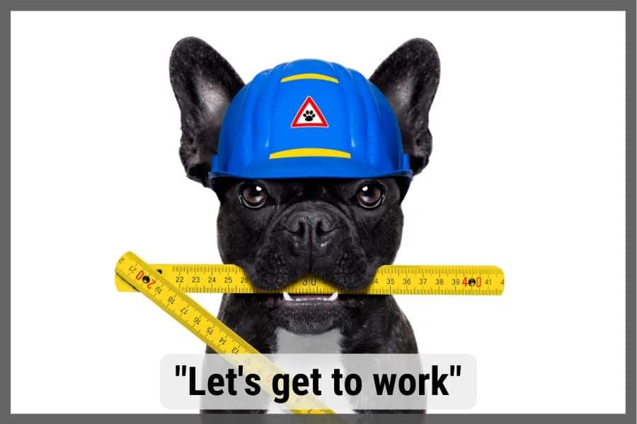 How to Measure Your Dog For a Carrier. no more guessing Sir Doggie