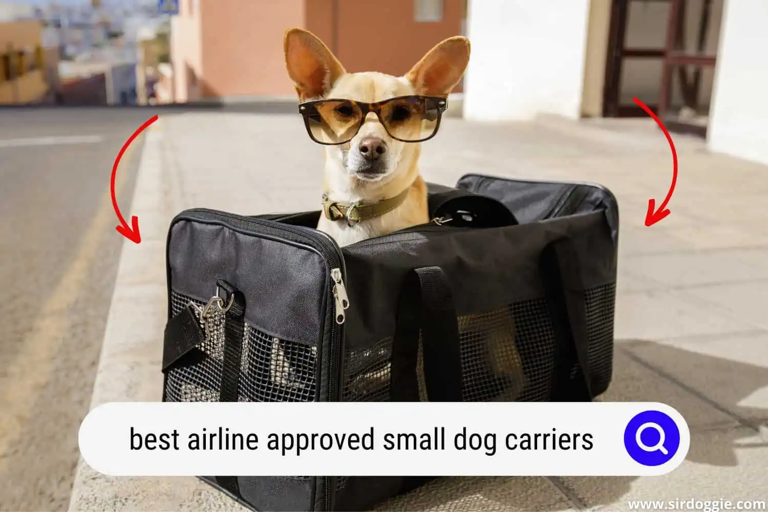 best airline approved small dog carriers