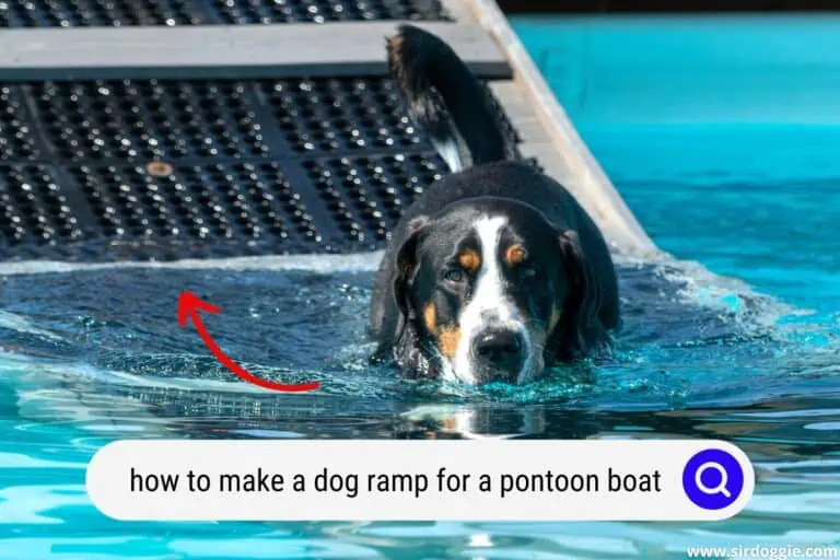 How to Make a Dog Ramp for a Pontoon Boat