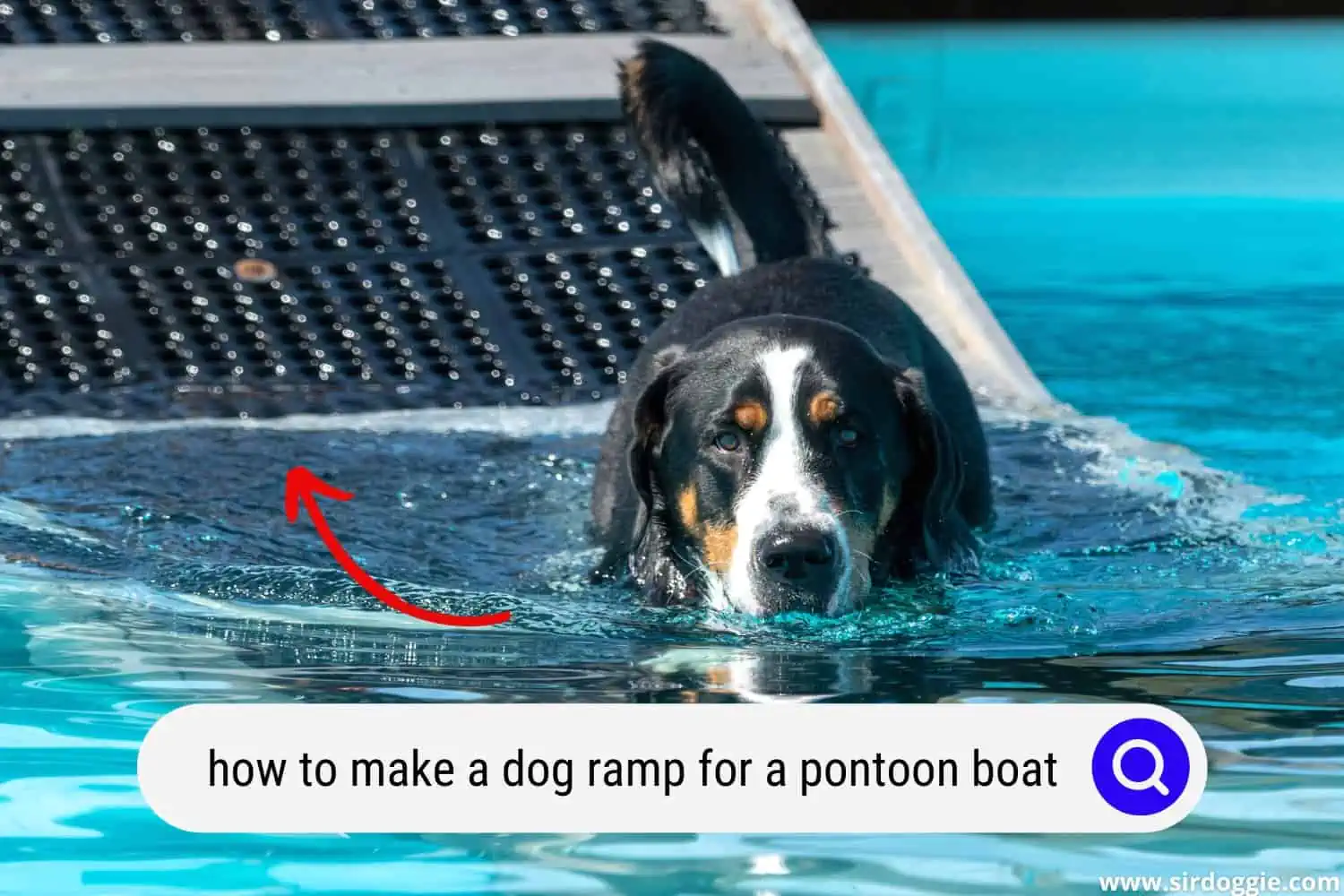 how to make a dog ramp for a pontoon boat