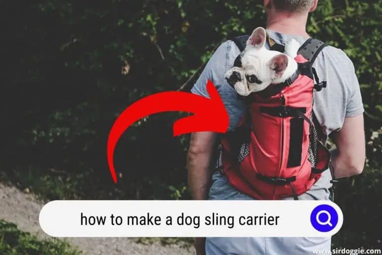 How to Make A Dog Sling Carrier & Save Your Money