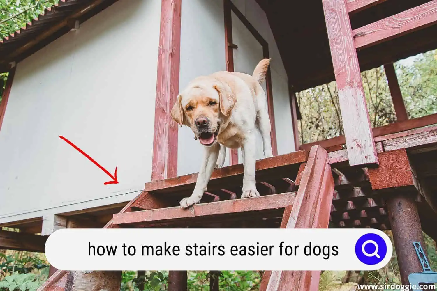 how to make stairs easier for dogs