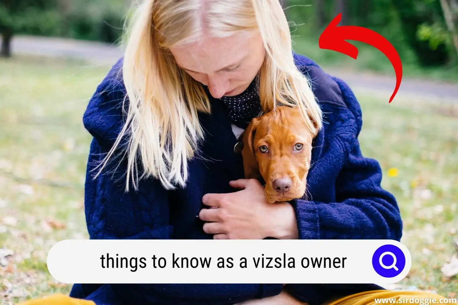 Pet owner hugging her Vizsla dog