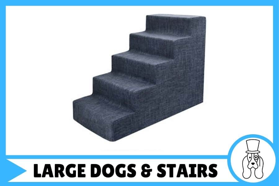 Pet stairs for large dogs