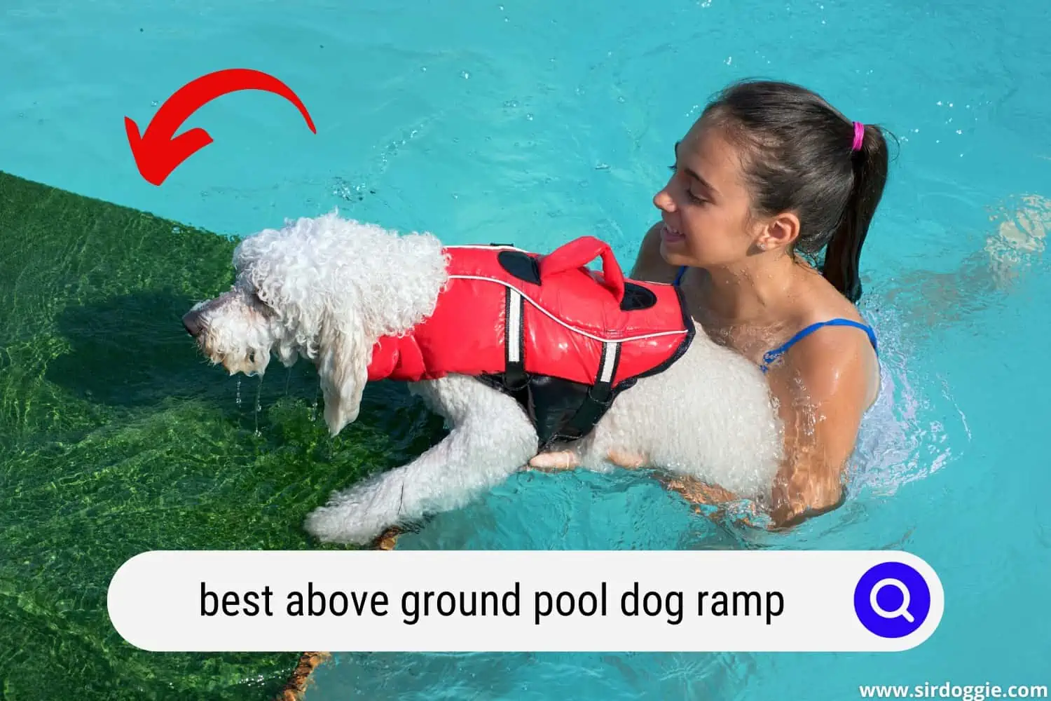 best above ground pool dog ramp