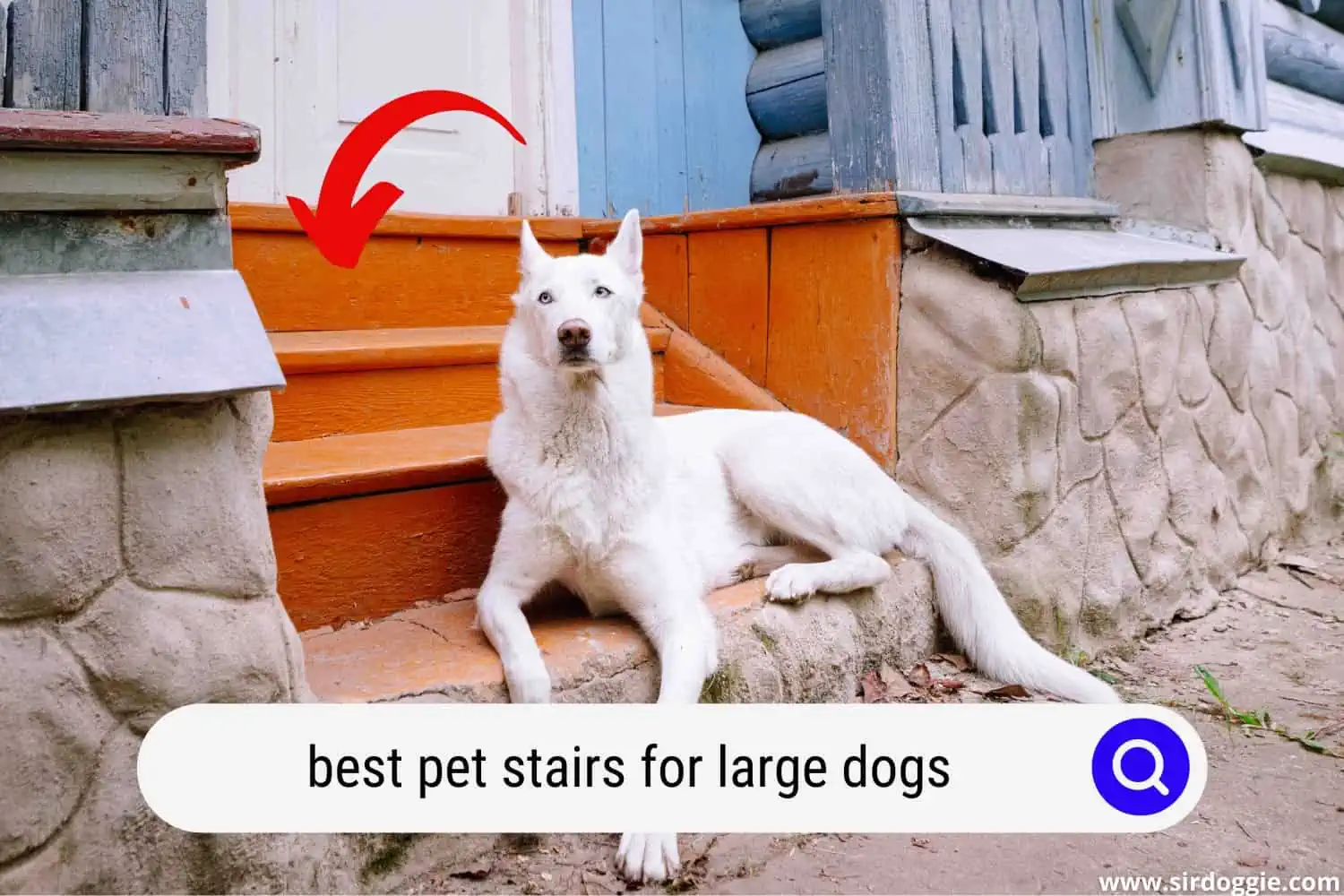 best pet stairs for large dogs