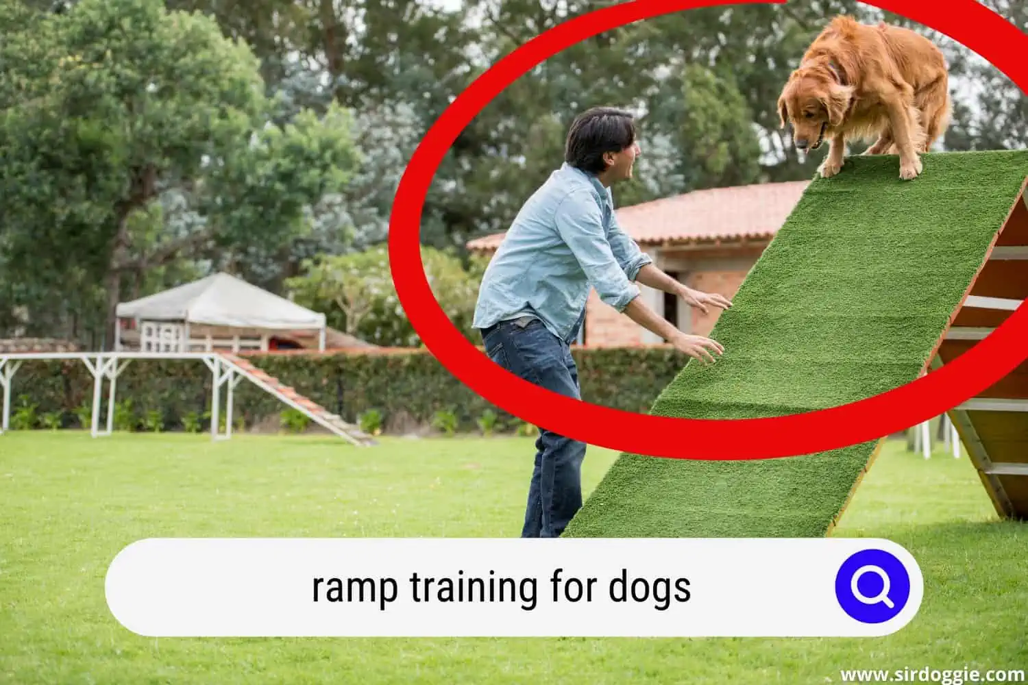 A pet owner training his dog in the ramp
