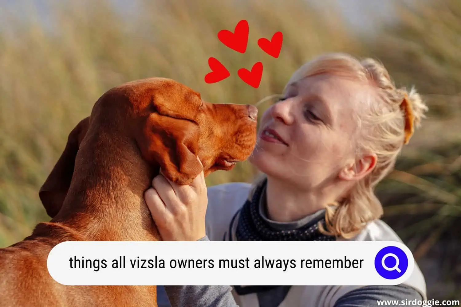 things all vizsla owners must always remember