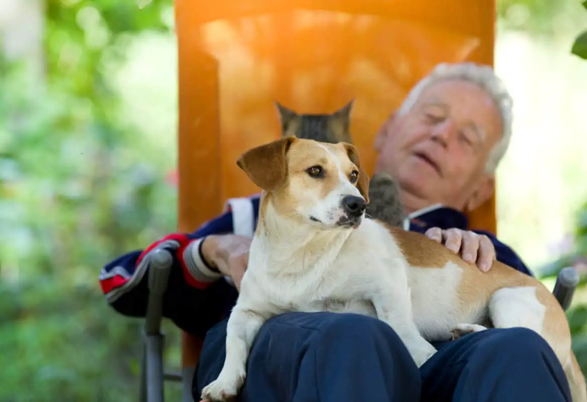 Senior man lying in sunbed in courtyard while dog laying in his lap