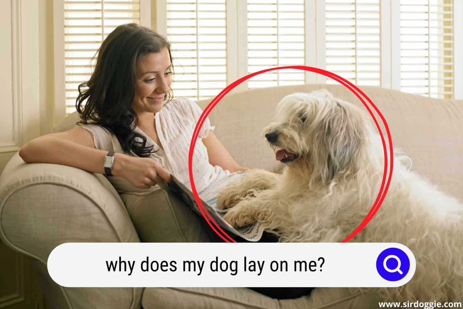 Why Does My Dog Lay On Me? Top 5 Reasons