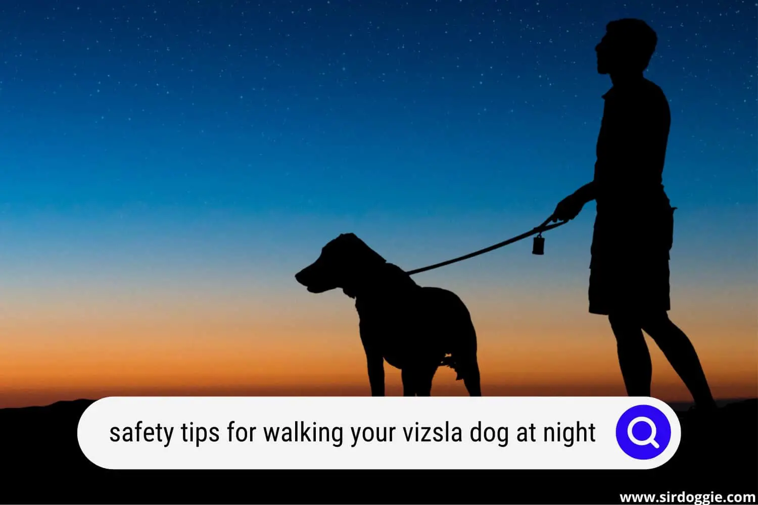 safety tips for walking your vizsla dog at night