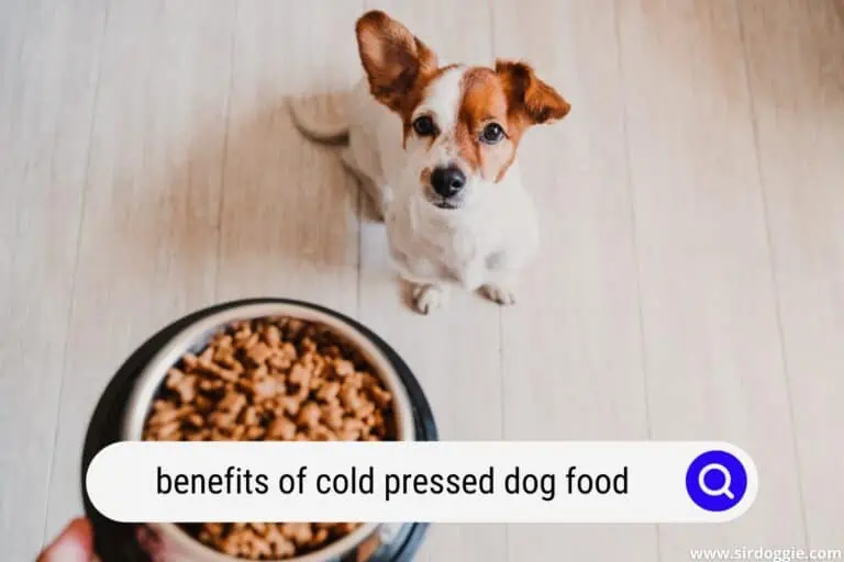 Benefits of Cold Pressed Dog Food | Best Dog Food?