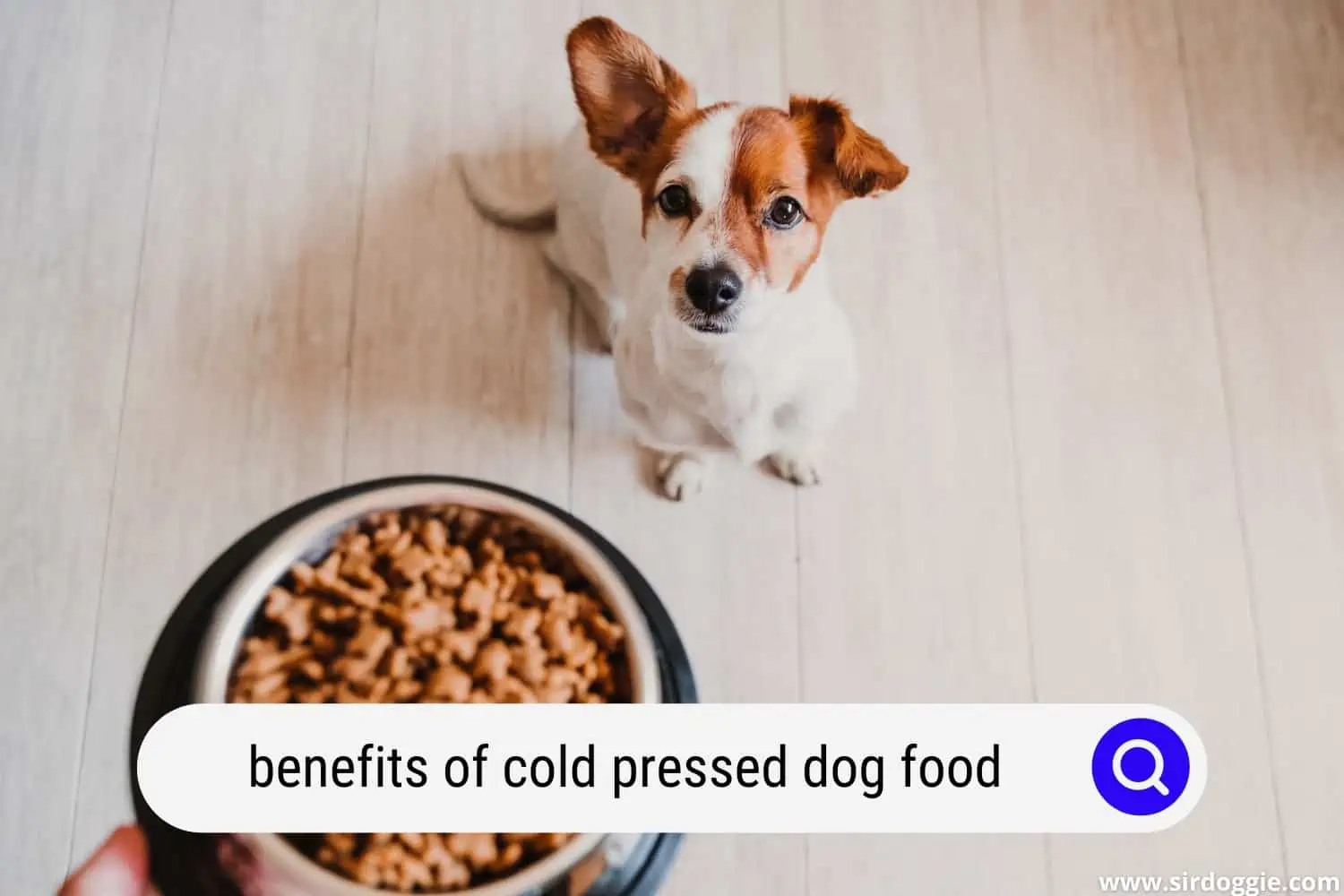 benefits of cold pressed dog food