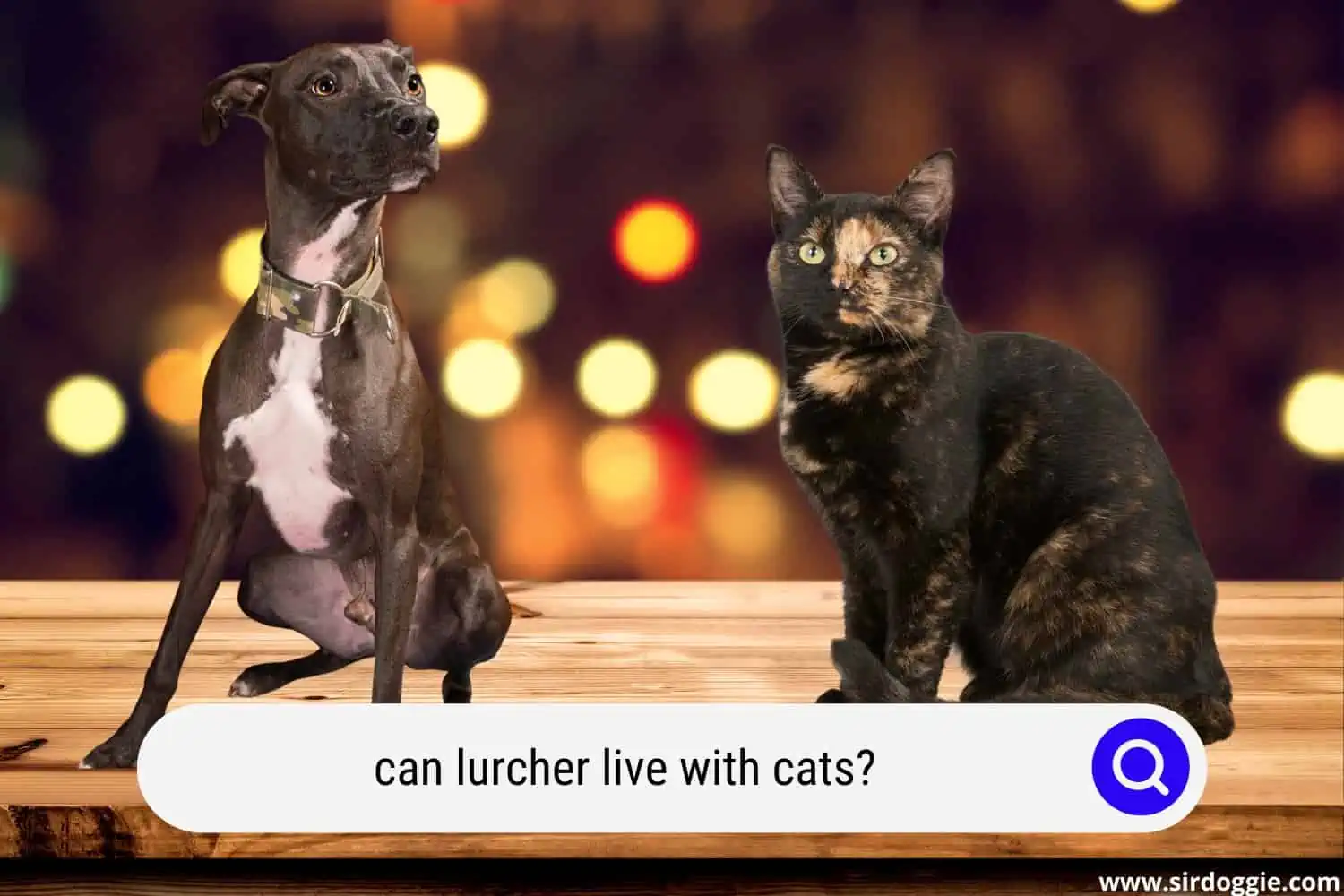 can lurcher live with cats