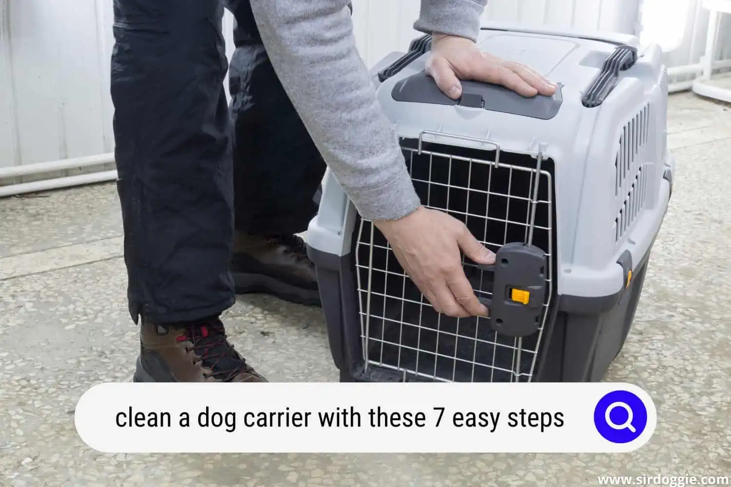 clean dog carrier