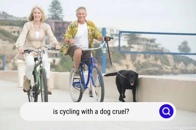 Is Cycling With A Dog Cruel? (When done Wrong YES!)