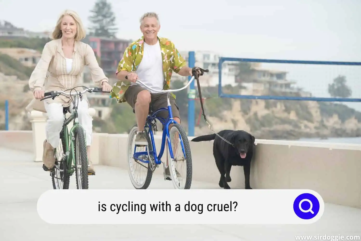 cycling with dog cruel