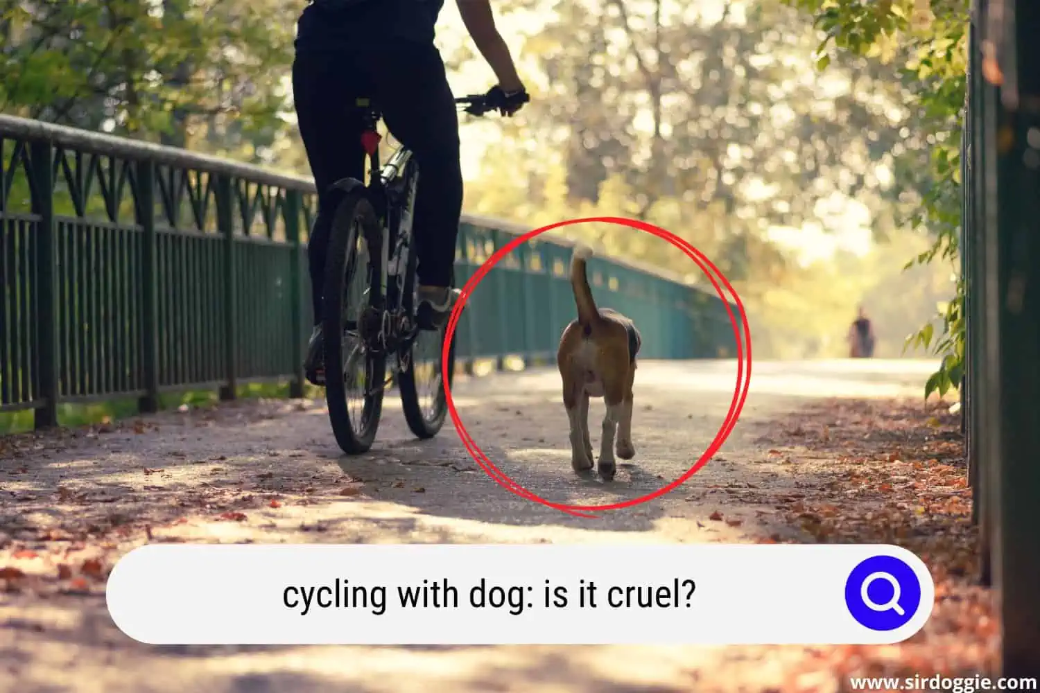 Dog joining owner in cycling