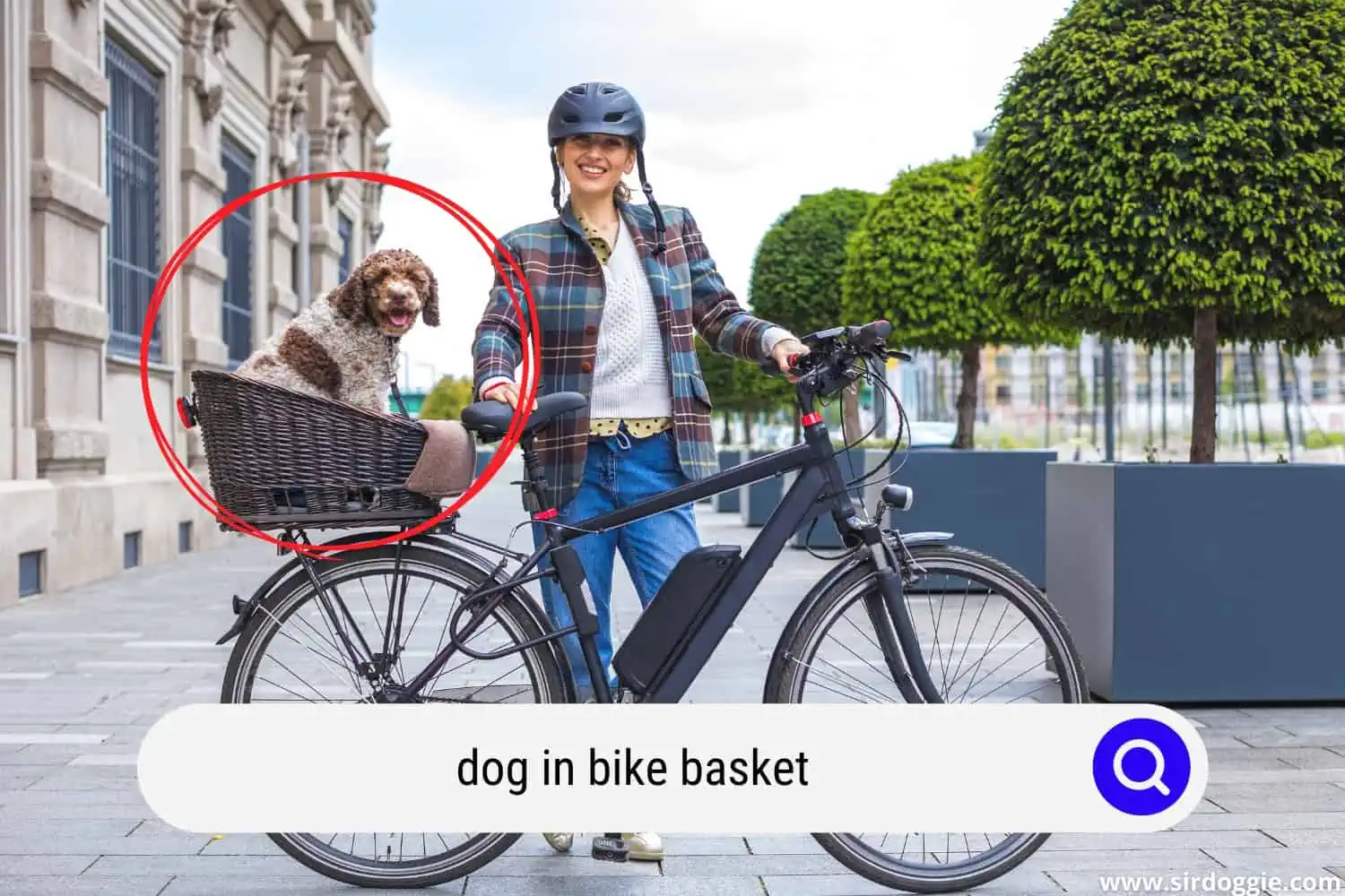 A dog inside a bike basket, while owner holding the bike