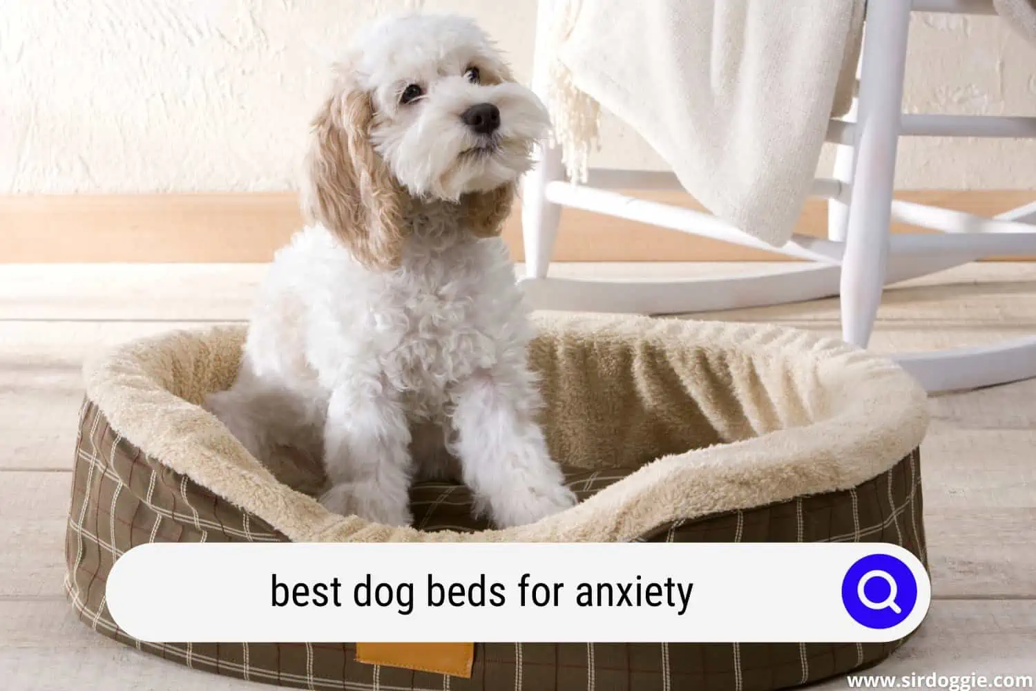 best dog beds for anxiety