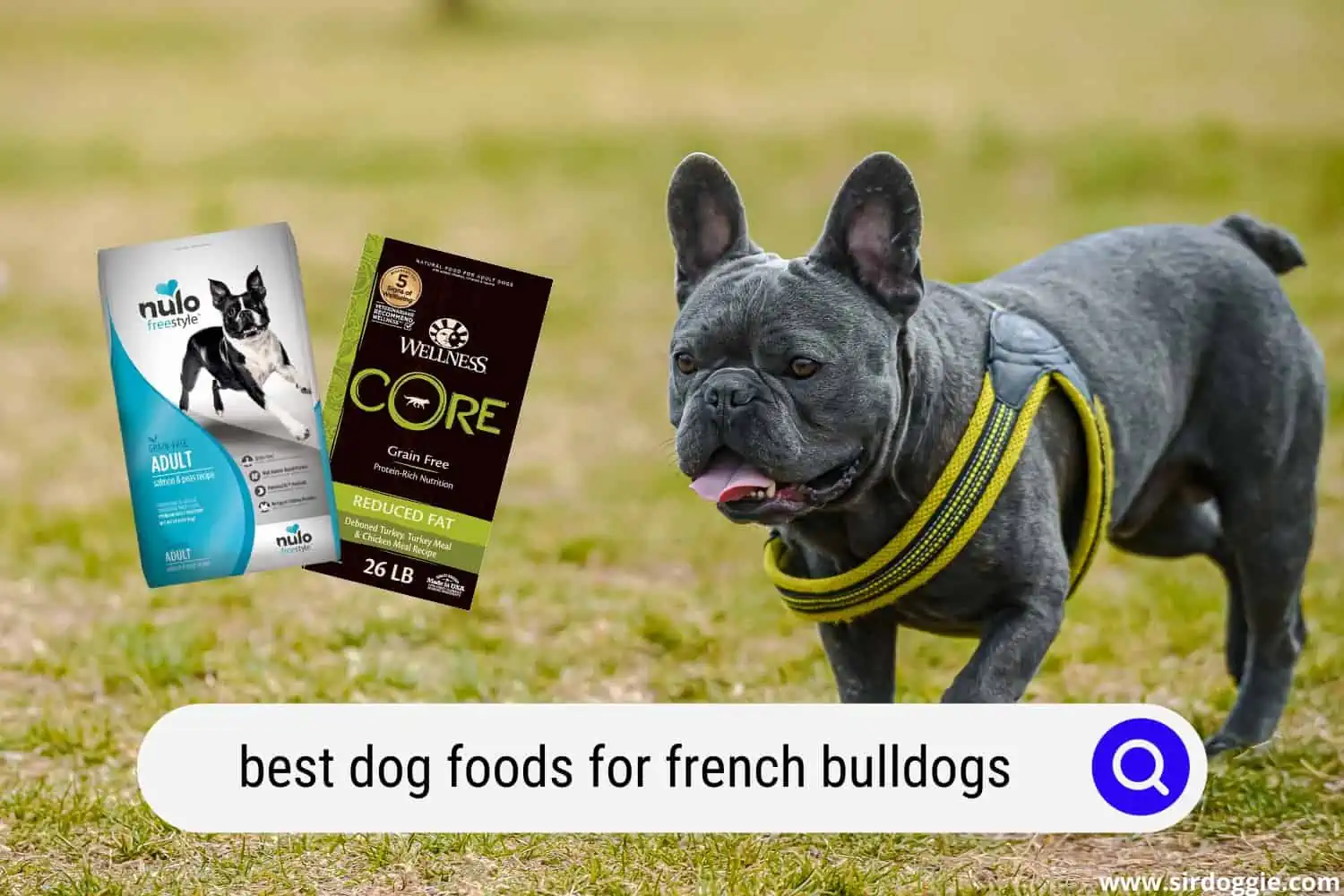 best dog foods for french bulldogs