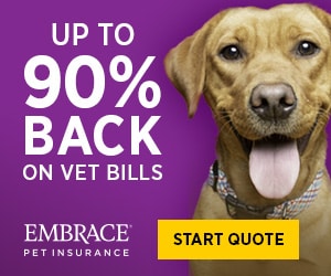 embrace dog insurance banner