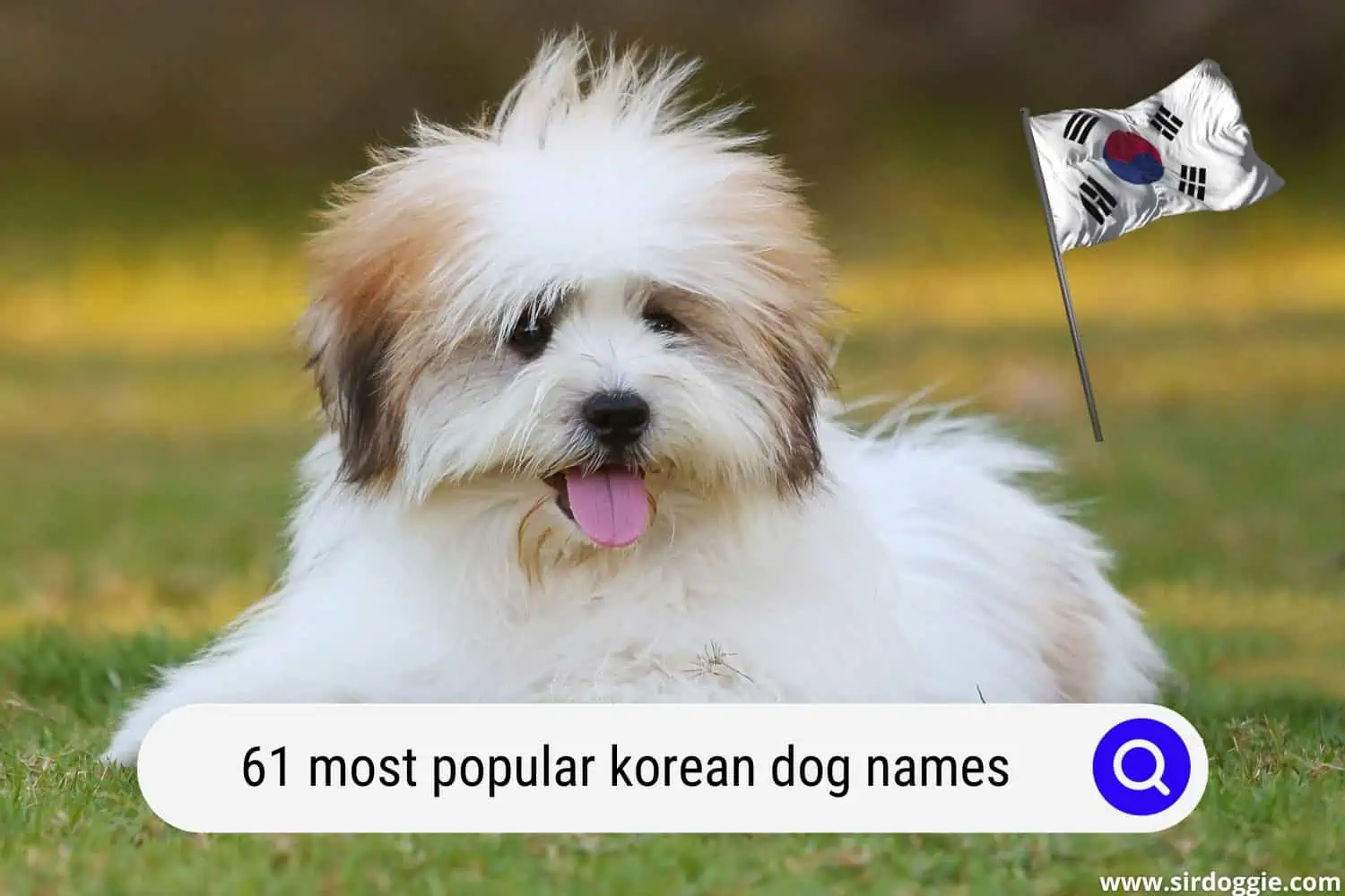 popular korean dog names