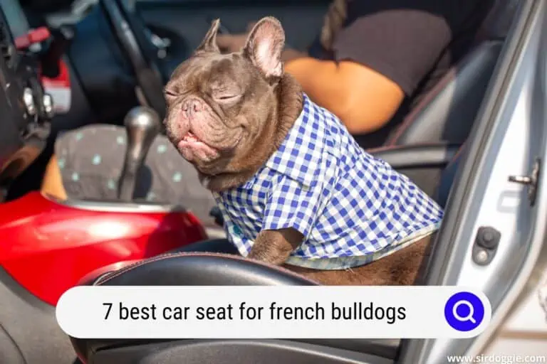Top 7 Best Car Seat For French Bulldogs: Buyer’s Guide